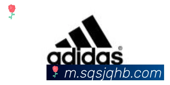 华体网页版登录入口合作伙伴
